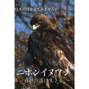 シリーズ日本の鳥を見てみませんか ニホンイヌワシ 森林の国に生きる DVD