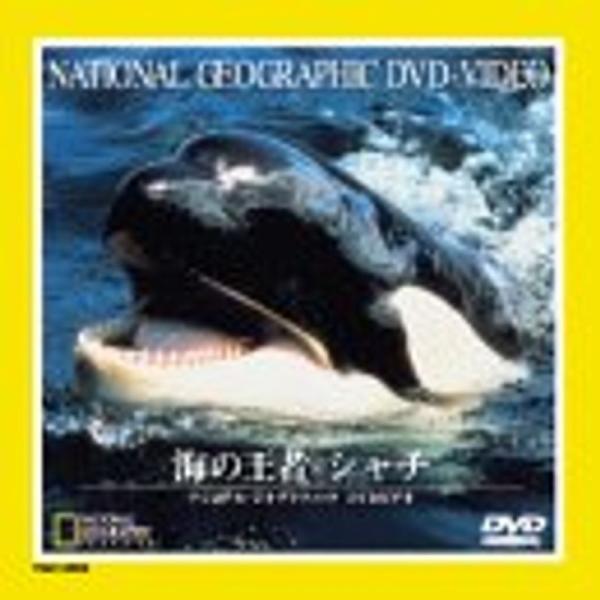 海の王者シャチ DVD