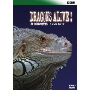 BBC 爬虫類の世界 DVD-SET