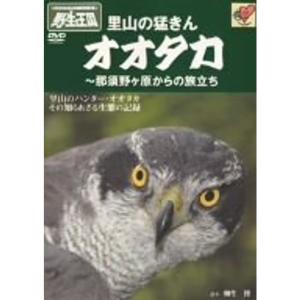 オオタカ 那須野ヶ原からの旅立ち 《DVDネイチャーシリーズ 野生の王国》 DVD