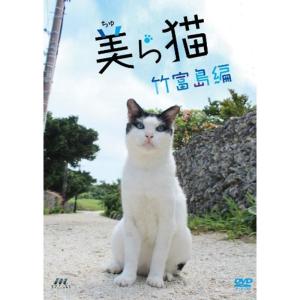 美ら猫(ちゅら猫)竹富島編 DVD