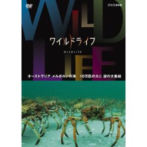 ワイルドライフ オーストラリア メルボルンの海 10万匹のカニ 謎の大集結 DVD