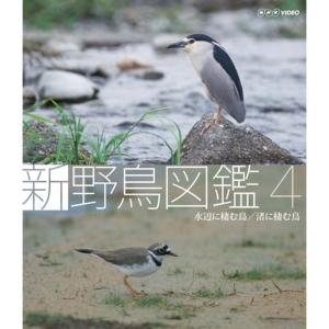 新 野鳥図鑑 第4集 水辺に棲む鳥/渚に棲む鳥 Blu-ray