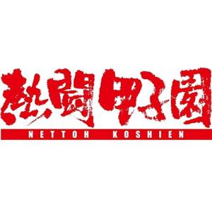 熱闘甲子園2015 DVDの商品画像