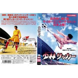 少林サッカーレンタル落ち