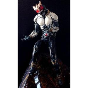 MEDICOM TOY（メディコム・トイ） 【送料無料】RAH DX 仮面ライダー