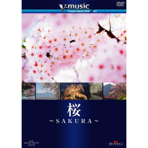 桜?SAKURA? V-music01 DVD