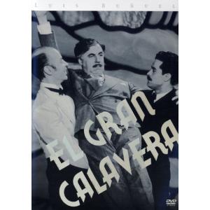 のんき大将 DVD