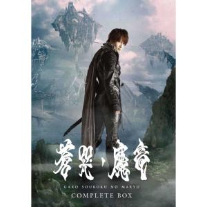 メーカー特典あり滝沢歌舞伎 ZERO 2020 The Movie (DVD2枚組)(通常盤