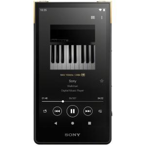 ソニー SONY ウォークマン Aシリーズ 16GB NW-A45:ホライズングリーン