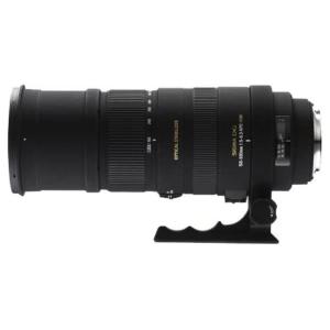 シグマ 170-500mm F5-6.3 APO DG ペンタックス用 : スカーレット2021