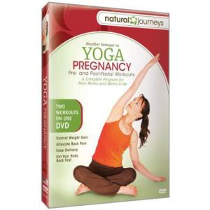 Yoga Pregnancy: Pre & Post Natal Workouts DVD｜scarlet2021