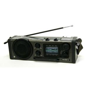 SONY ソニー DCR-TRV27 デジタルビデオカメラ miniDV 【中古品