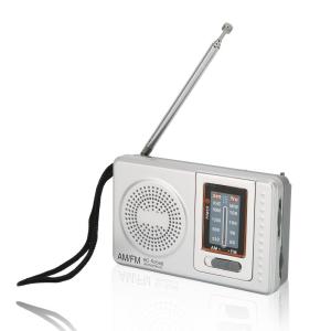 FESCO 唱歌ラヂオ DX100 AM/FMラジオ付き音楽プレイヤー SRDX-001