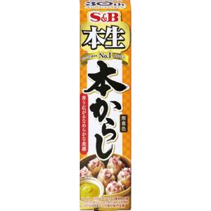 【訳あり】 賞味期限：2026年8月9日 S&B 本生 本からし 43g