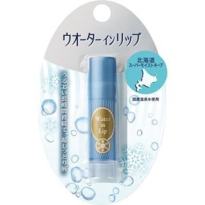 SHISEIDO（資生堂） 薬用ホワイトニング美容パウダー（レフィル