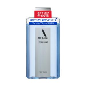 SHISEIDO（資生堂） アウスレーゼ ヘアブローN 180mL 整髪料 : フジ