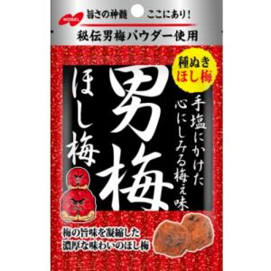 NOBEL ノーベル製菓 男梅グミ 41g×6袋入｜ 送料別 : 味園サポート