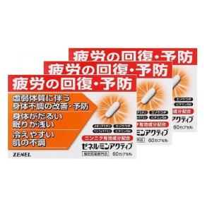 ゼネルミン ニンニク配合 3個セット