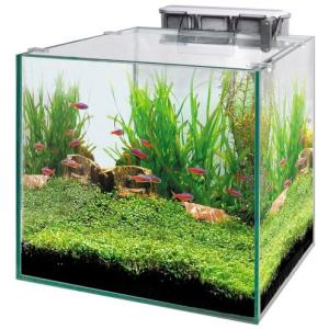 60cm水槽濾過器の商品一覧 通販 Yahoo ショッピング