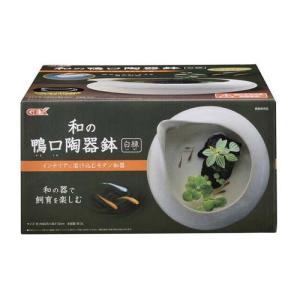 エキゾテラ タイマーサーモ RTT-1 ( 1コ入 )/ : 爽快ドラッグ