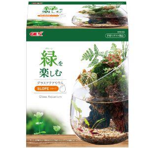 グラスアクアリウム スロープ (1個) 水草インテリア ガラス製