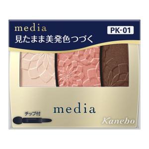 資生堂 マキアージュ パーフェクト マルチコンパクト (レフィル
