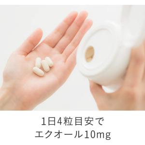 大塚製薬 エクエル (112粒) 健康食品 サ...の詳細画像3