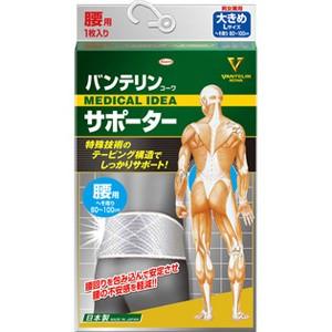 興和新薬 バンテリンコーワ サポーター 腰用 男女兼用 シャイニンググレー 大きめ Lサイズ (1枚...