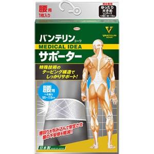 興和新薬 バンテリンコーワ サポーター 腰用 男女兼用 シャイニング