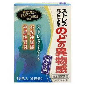 めまい 吐き気 ストレス 漢方