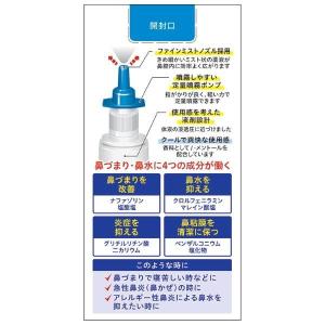 【第2類医薬品】 佐藤製薬 ナザールGスプレー...の詳細画像1