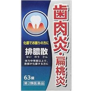 【第2類医薬品】 ジェーピーエス製薬 排膿散エキス錠 J (63錠) 漢方 はいのうさん ハイノウサ...