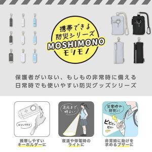 非常用 ライト付ブザー ブラック LED 2段...の詳細画像3