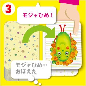 すごろくや ナンジャモンジャ ミドリ シロ 2...の詳細画像4