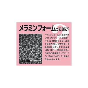 レック 激落ち パパ トールサイズ S-693...の詳細画像2