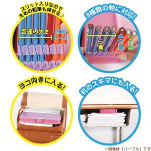 名入れ 筆箱 ペンケース ピッタントン 両面 ...の詳細画像4