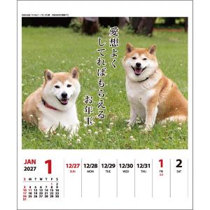 【2027年版】 カレンダー 卓上 壁掛け 両...の詳細画像1