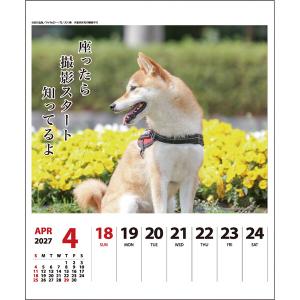 【2027年版】 カレンダー 卓上 壁掛け 両...の詳細画像3
