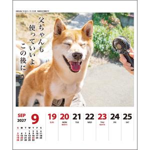【2027年版】 カレンダー 卓上 壁掛け 両...の詳細画像4