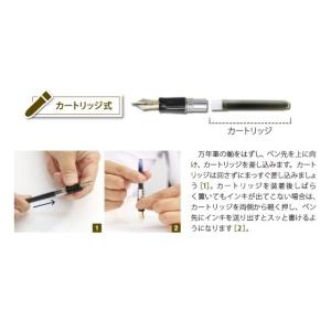 パイロット 万年筆用カートリッジインキ 12本...の詳細画像1
