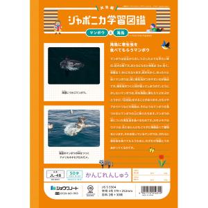 ジャポニカ学習帳 共生編 B5 かんじれんしゅ...の詳細画像1