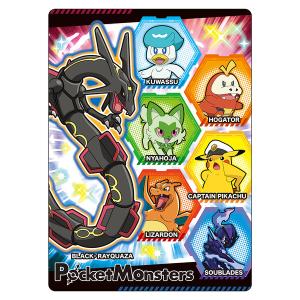 ポケットモンスター クール&キュートシリーズ