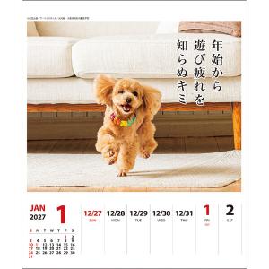 【2027年版】 カレンダー 卓上 壁掛け 両...の詳細画像1