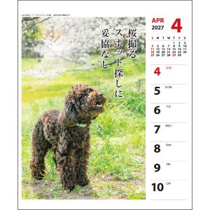 【2027年版】 カレンダー 卓上 壁掛け 両...の詳細画像2
