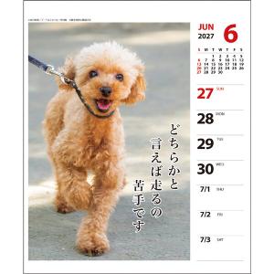 【2027年版】 カレンダー 卓上 壁掛け 両...の詳細画像3