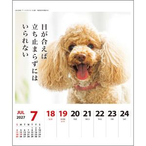 【2027年版】 カレンダー 卓上 壁掛け 両...の詳細画像4
