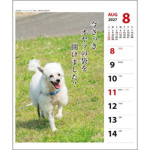 【2027年版】 カレンダー 卓上 壁掛け 両...の詳細画像5