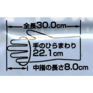 ゴム手袋 ダンロップ ワークハンズ ニトリルゴ...の詳細画像1