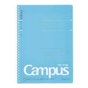 ロルバーン ポケット付メモ グリッター L ミント スパンコール 半透明